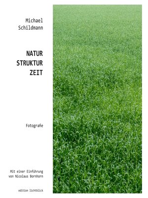 cover image of Natur-Struktur-Zeit